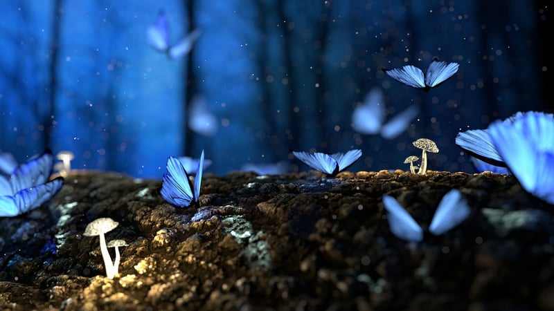 Magical Fairytale Decor